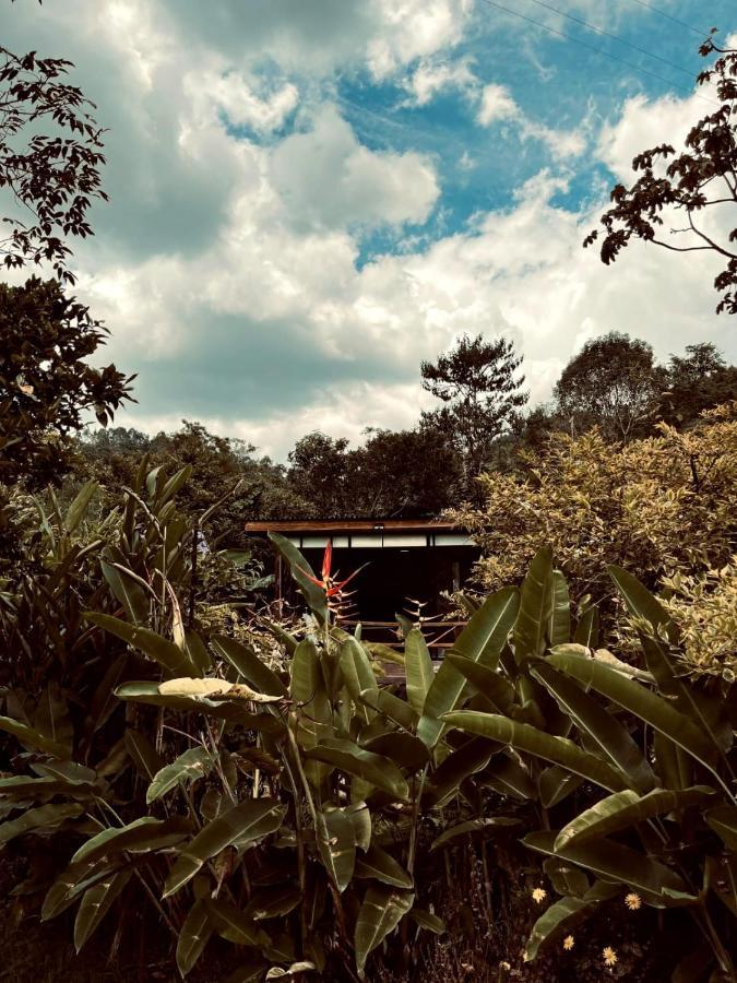 Glamping Salento Con Jacuzzi Climatizado Hotell Eksteriør bilde