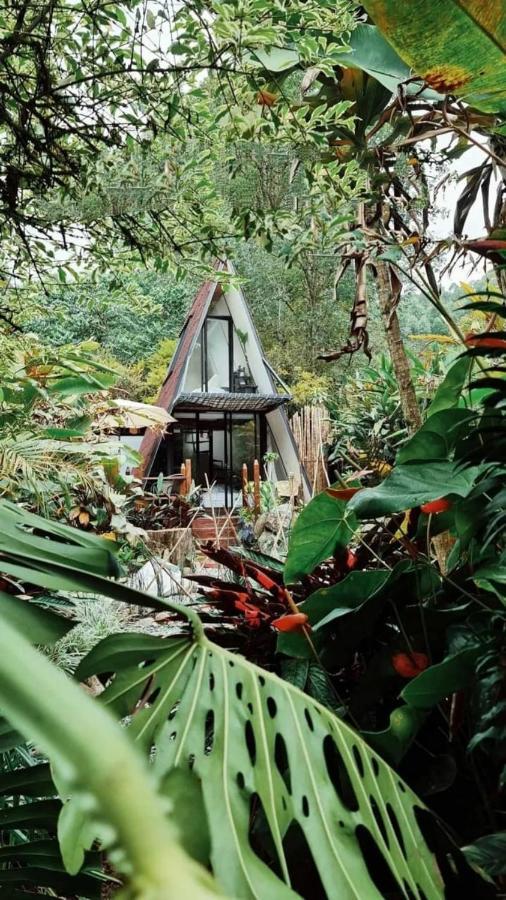 Glamping Salento Con Jacuzzi Climatizado Hotell Eksteriør bilde
